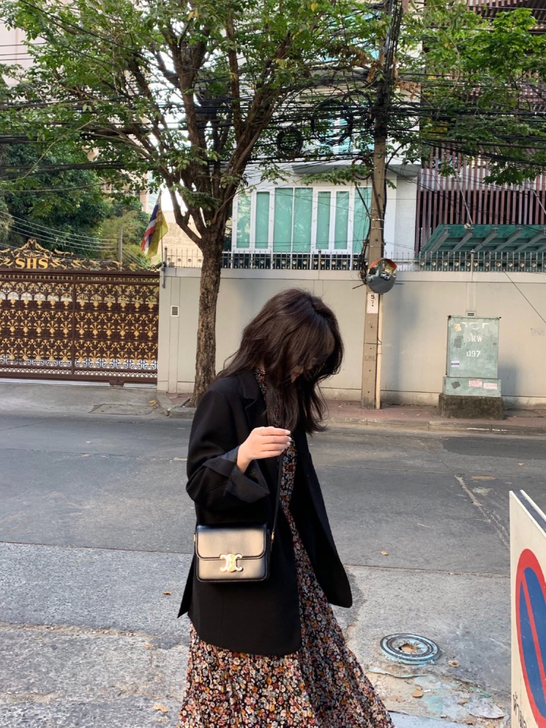 Celine Triomphe Bags